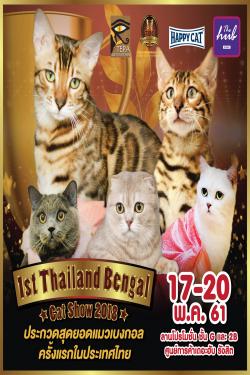 ҹ 1st Thailand Bengal Cat show 2018    
