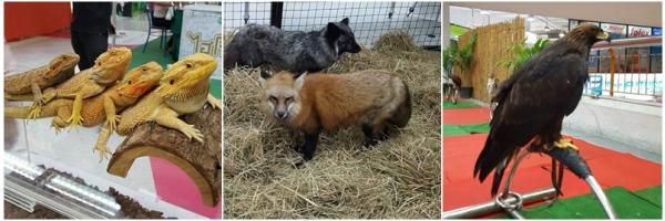  Exotic Pets Expo at Zeer 