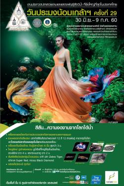 ѹ 駷 29 ҧѹ 30 .. - 9 .. 2560 ѹ...ҡš