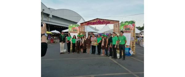 Pathumthani Grand Sale 2017 駷 2 ˡѡ ҡ  ǳҹʹö ˹ҤüĴ١ Ҵ ѧѴҹ